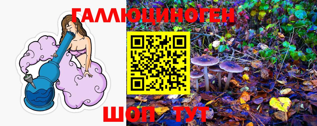 Волгодонск  Псилоцибиновые грибы Cubensis  Псилоцибиновые грибы Psilocybine cubensis  Вход с VPN 