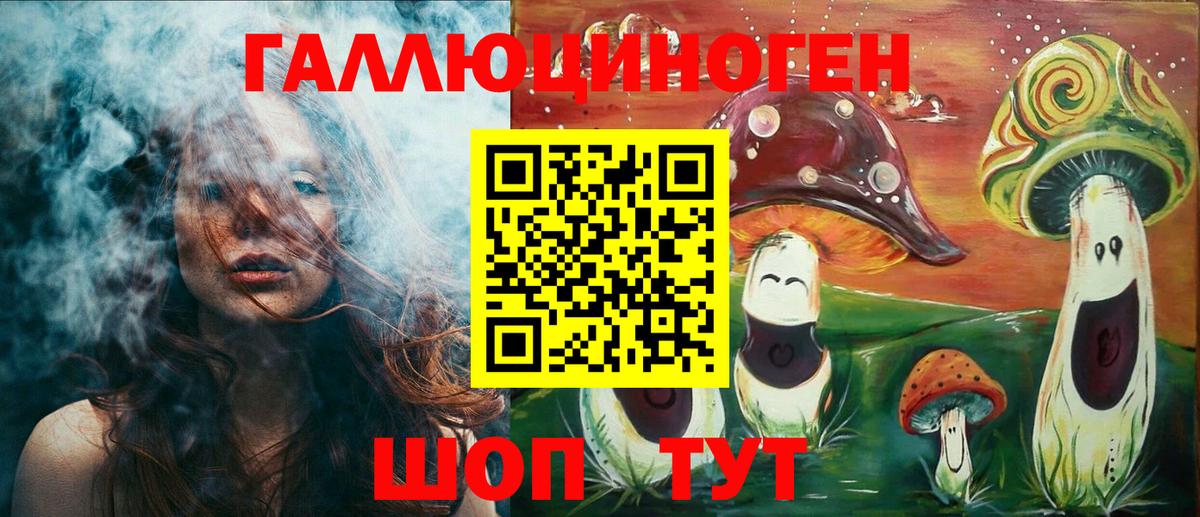 Галлюциногенные грибы Psilocybine cubensis Волгодонск